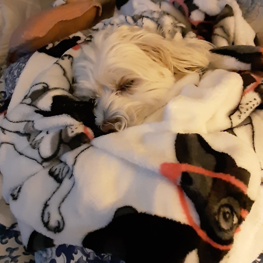 Meet your Posher, Elvira